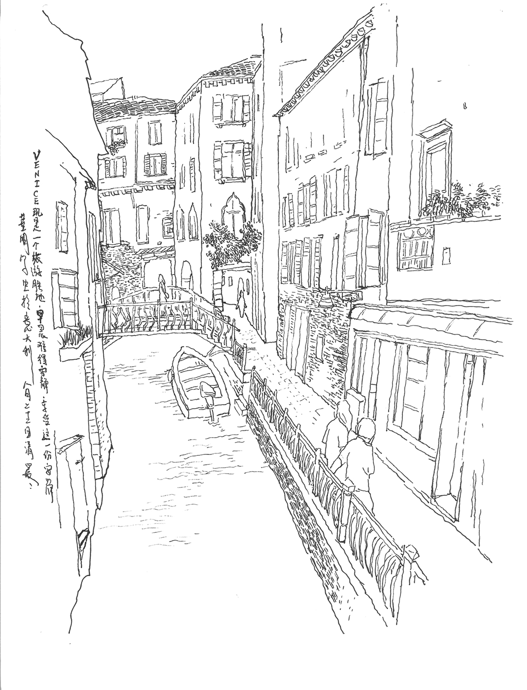 Live Sketch — image 8