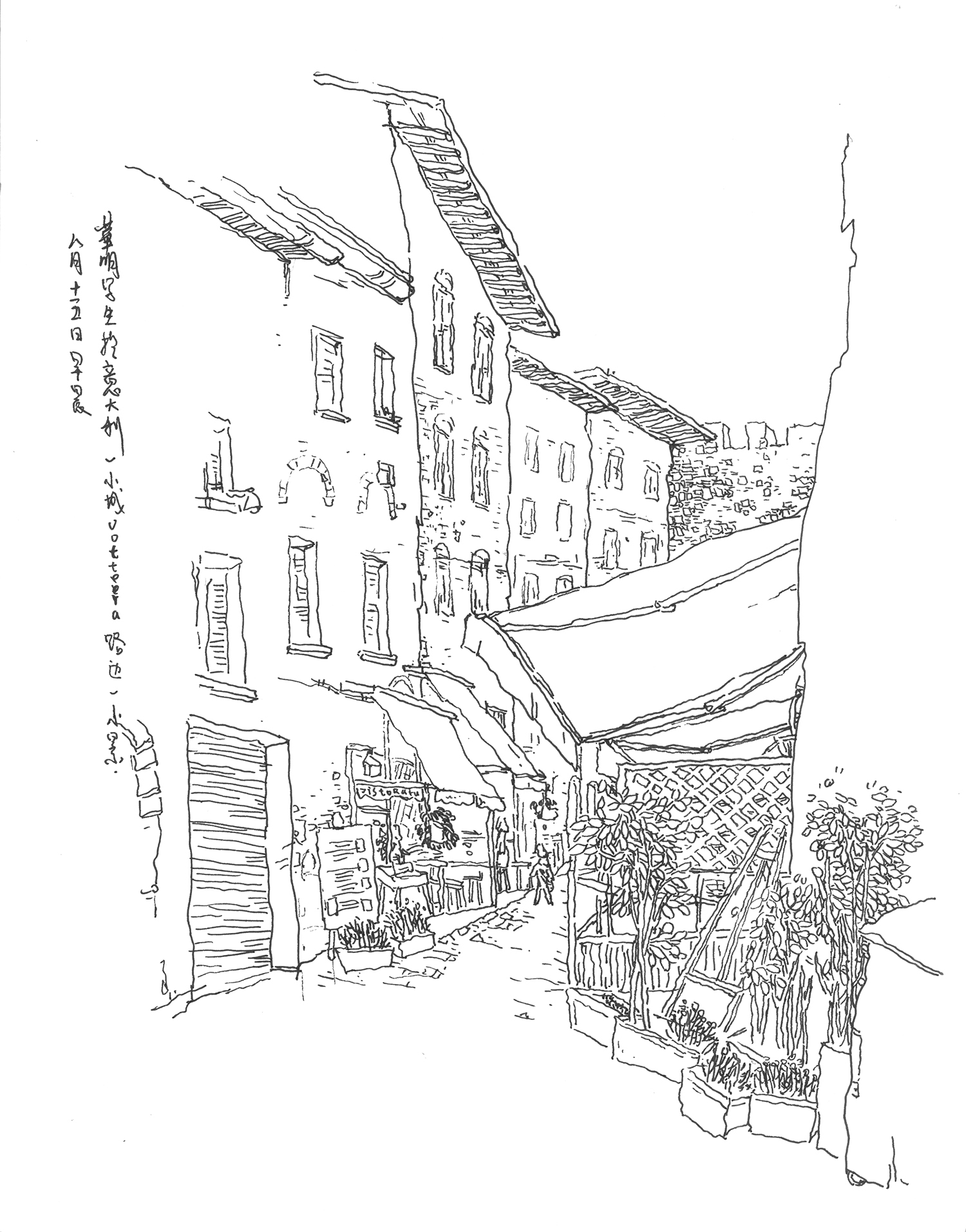 Live Sketch — image 11
