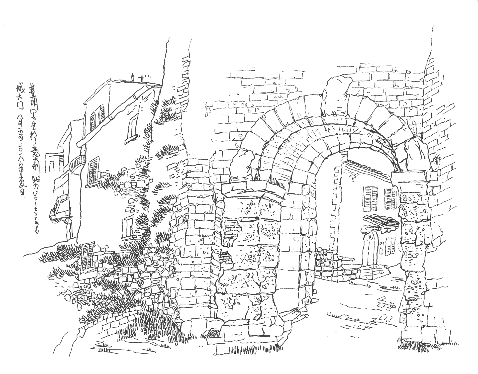 Live Sketch — image 12