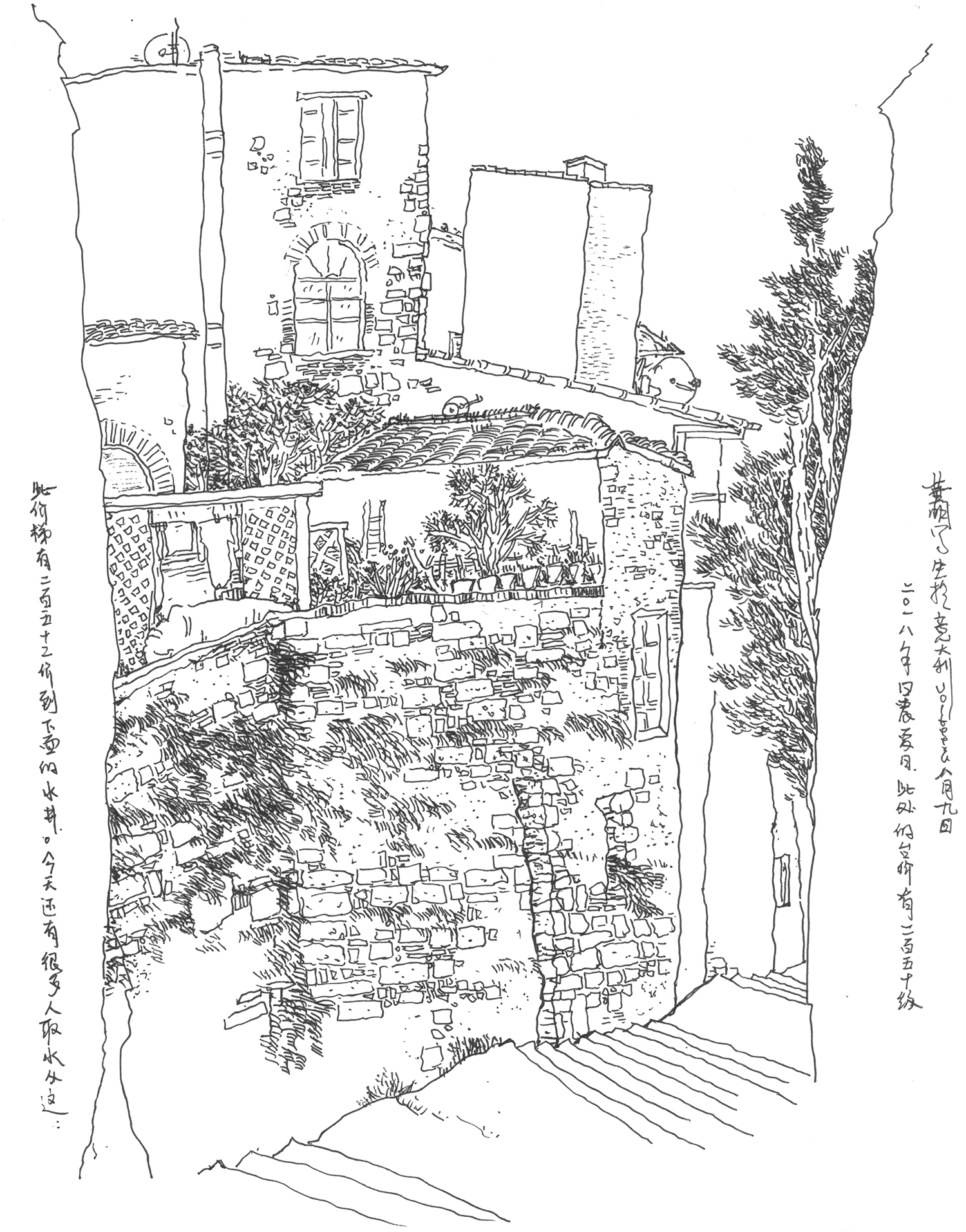 Live Sketch — image 13