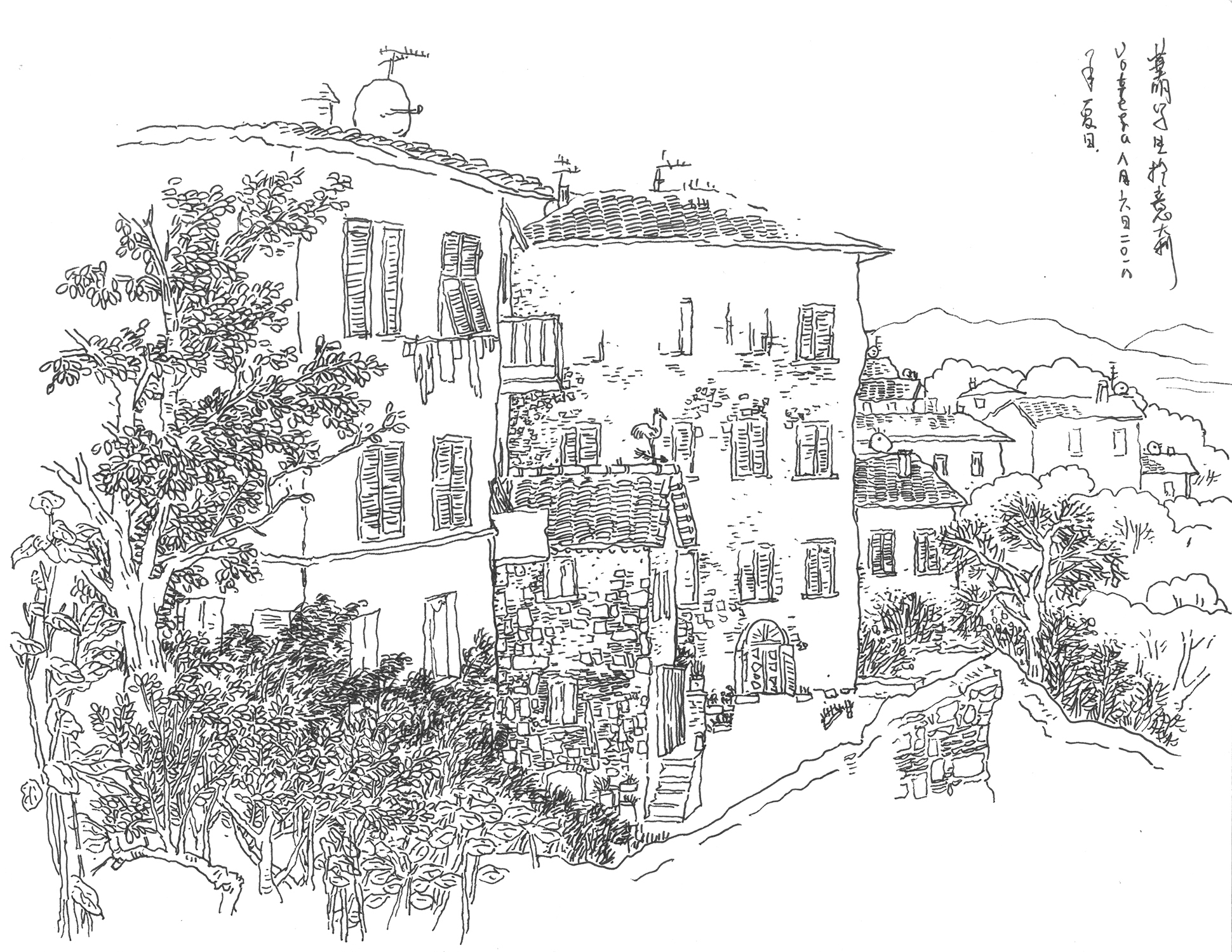 Live Sketch — image 18