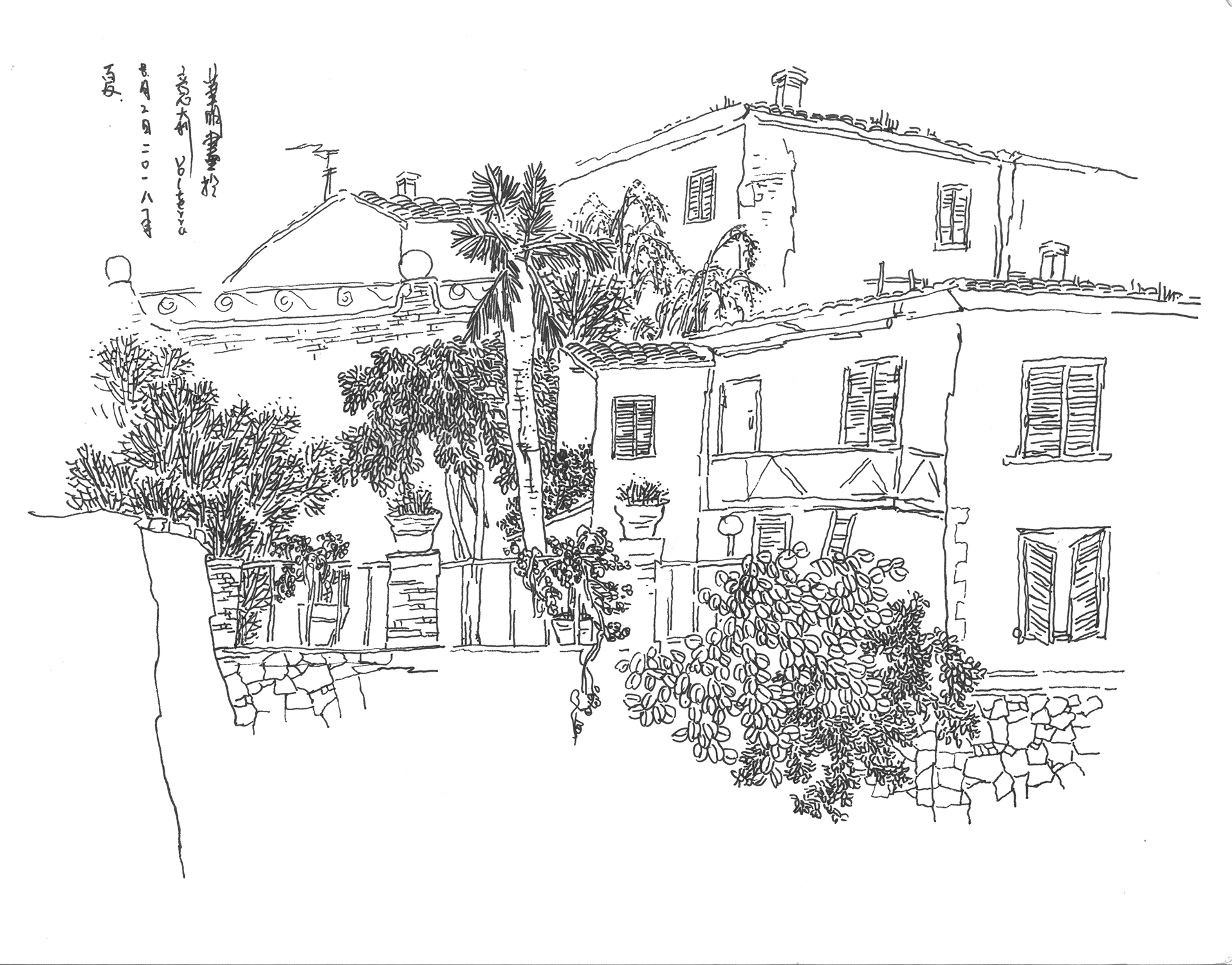 Live Sketch — image 4