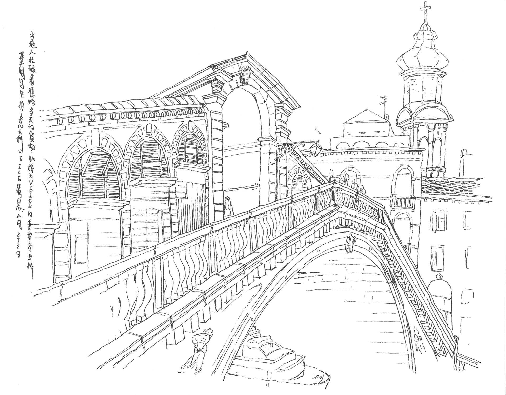 Live Sketch — image 6