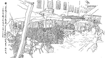 Live Sketch